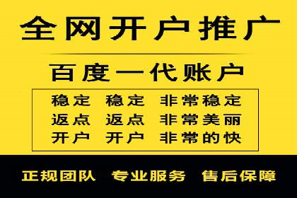 百度网络推广实战技巧：案例解析，让广告投放更精准